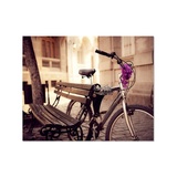 Канвасы IDEA CT3-04/40*50
