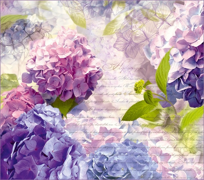 Поэзия фотообои 12л А105 (6) 294*260