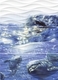 Wave DoLphins панно фиолетовый WA2Т123D 60*44 сорт1  Cersanit